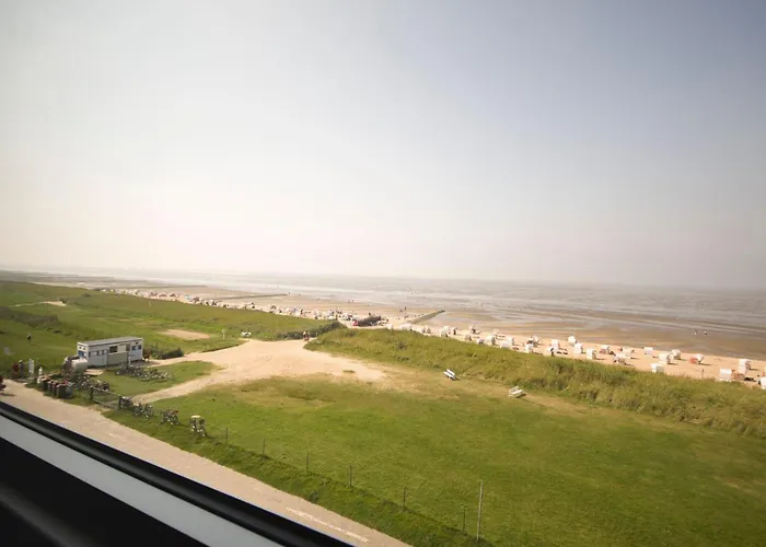 Haus-seehund-15 * Cuxhaven